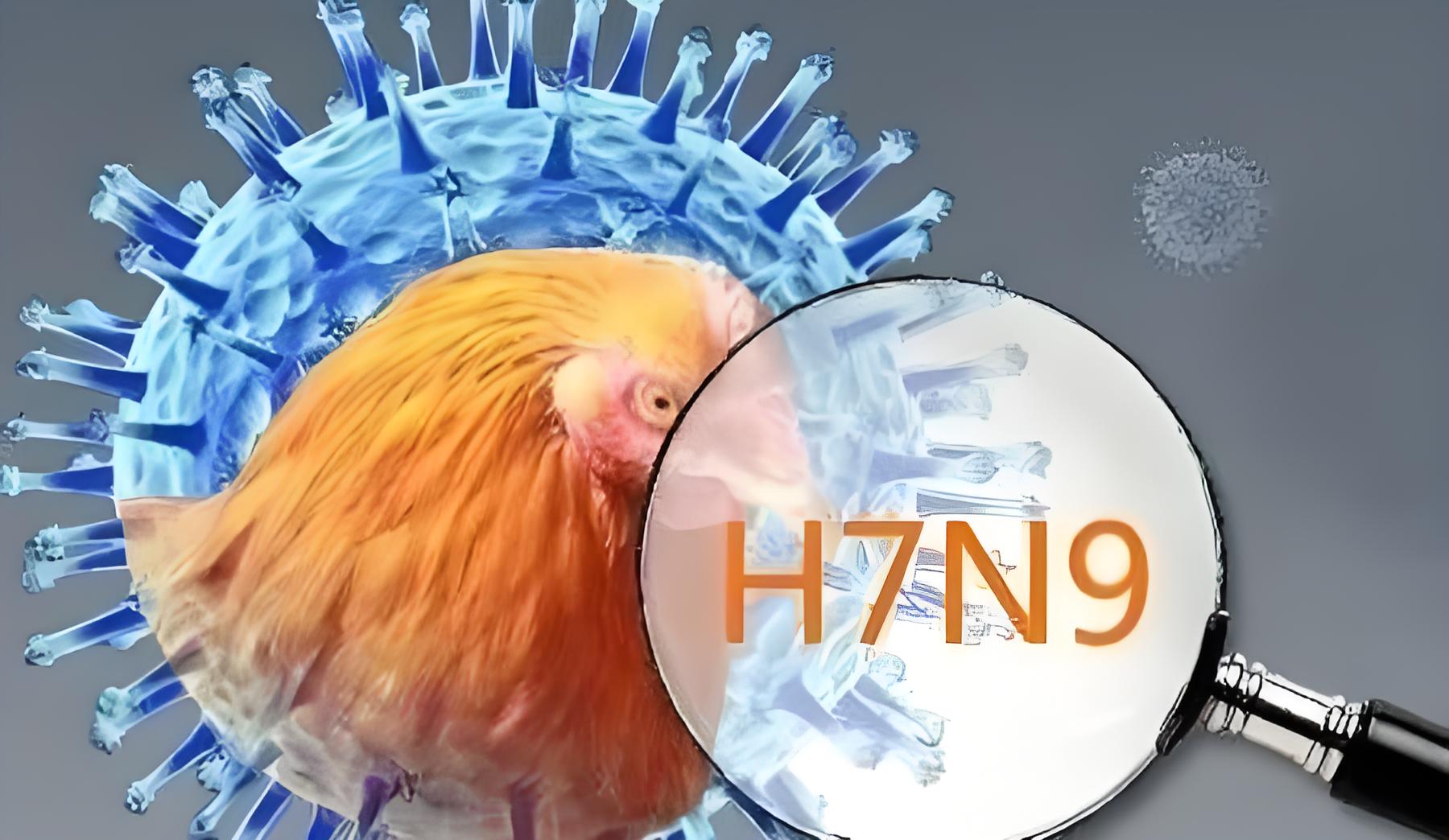 ˸ȾH7N9